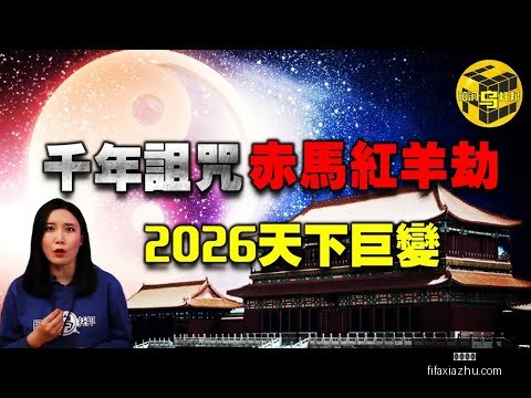王钰栋计划,海外深造,浙江队全力,足球直播,足球直播平台,足球直播App,足球直播下载